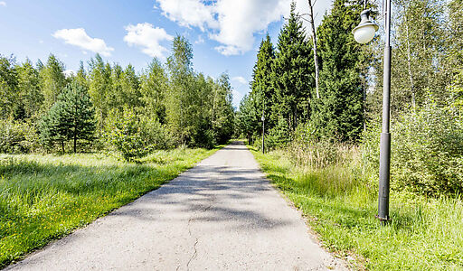 Лесные Зори