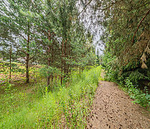 Большой участок в КП Горки-8