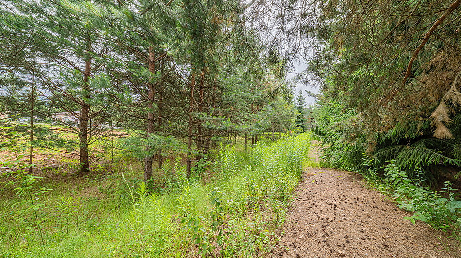 Большой участок в КП Горки-8