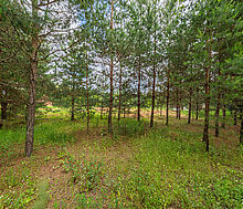 Большой участок в КП Горки-8