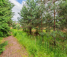 Большой участок в КП Горки-8