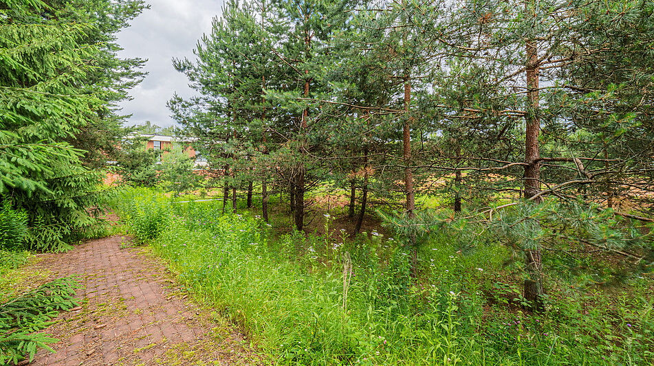 Большой участок в КП Горки-8