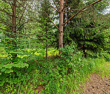 Большой участок в КП Горки-8