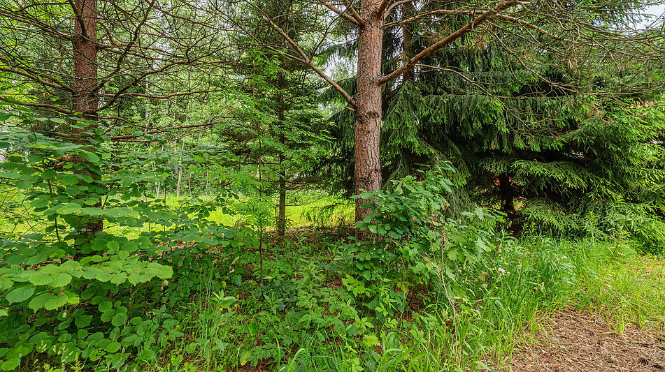 Большой участок в КП Горки-8