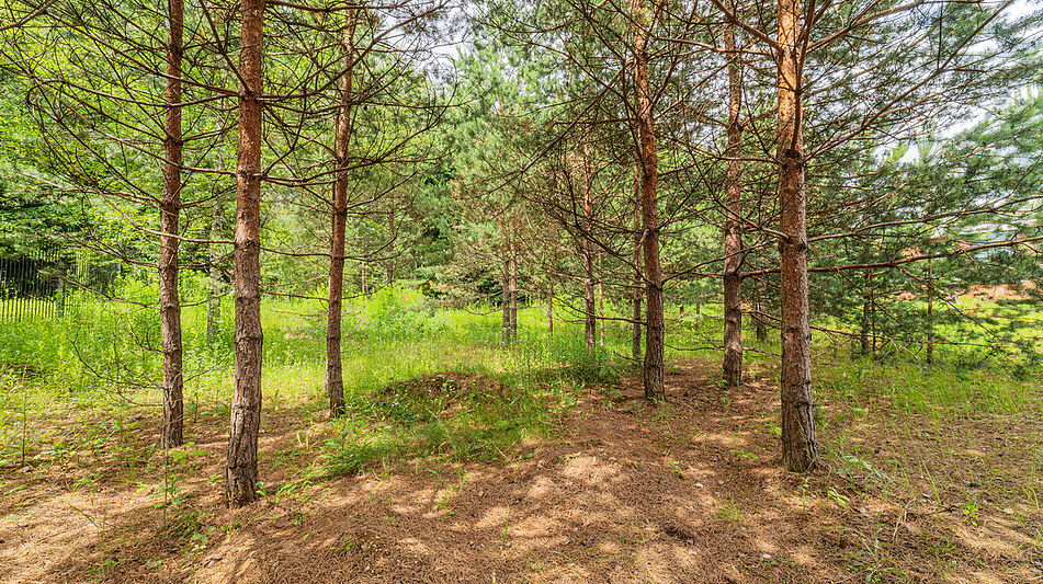 Большой участок в КП Горки-8