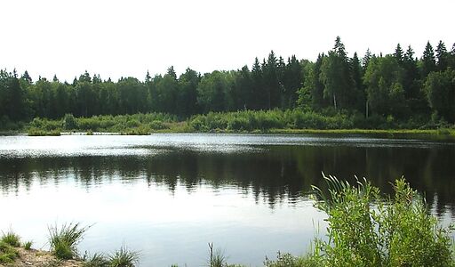 Менделеево