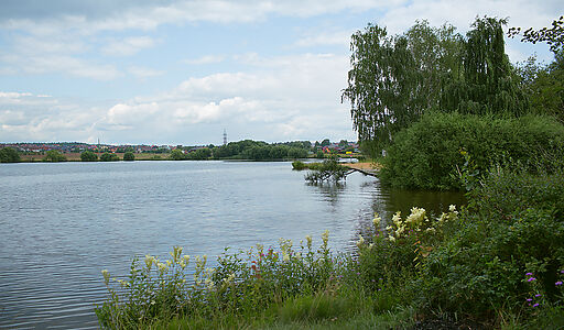 Менделеево