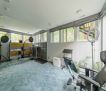 Прилесной дом в Новых Вешках