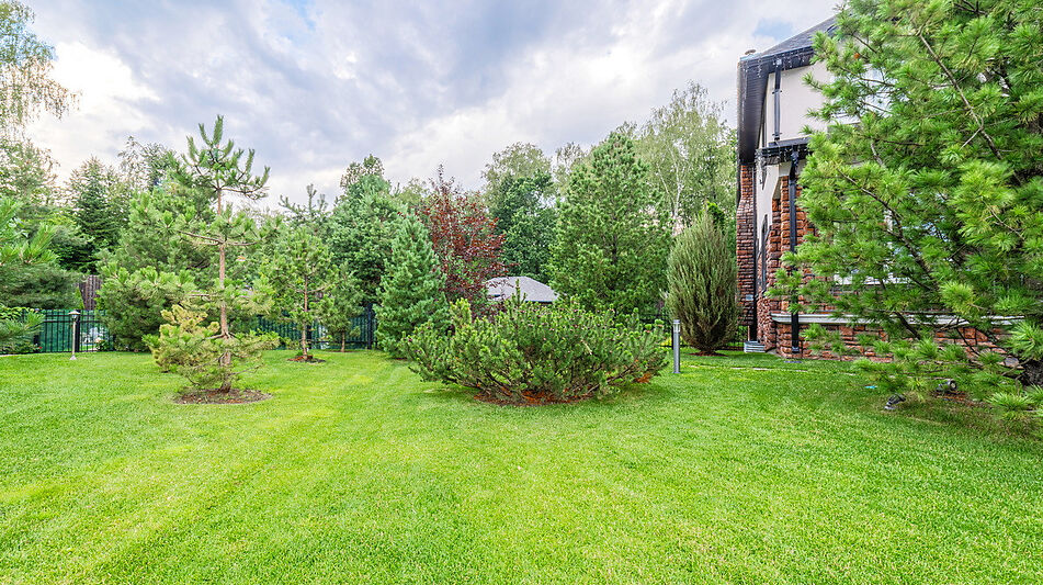 Прилесной дом в Новых Вешках