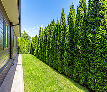 Одноэтажный дом в КП Новорижский