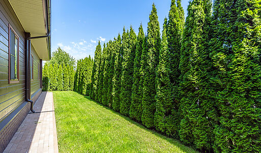 Одноэтажный дом в КП Новорижский