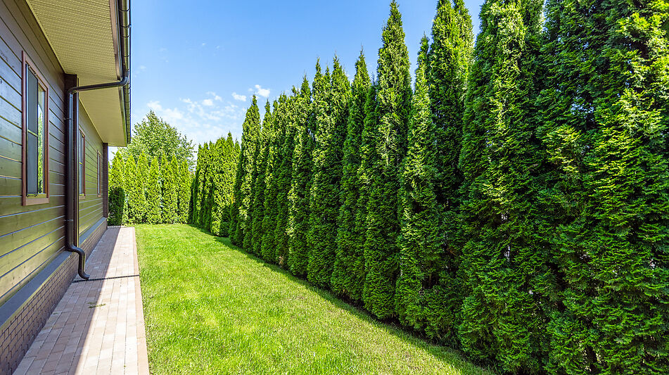Одноэтажный дом в КП Новорижский