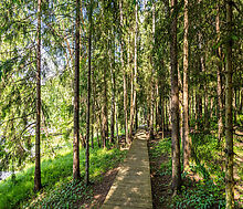 Дом у воды в КП Оксир