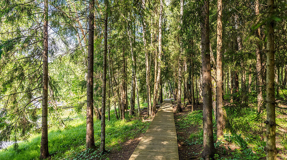 Дом у воды в КП Оксир