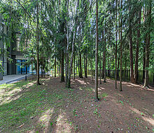 Дом с бассейном в Ренессанс парк