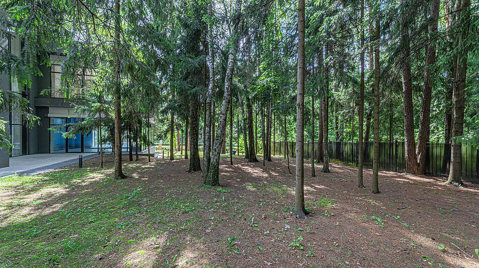 Дом с бассейном в Ренессанс парк