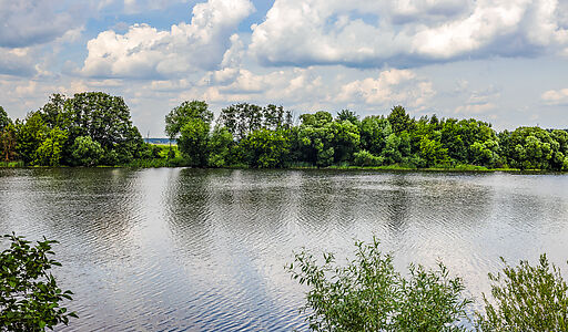 НПИЗ Речное