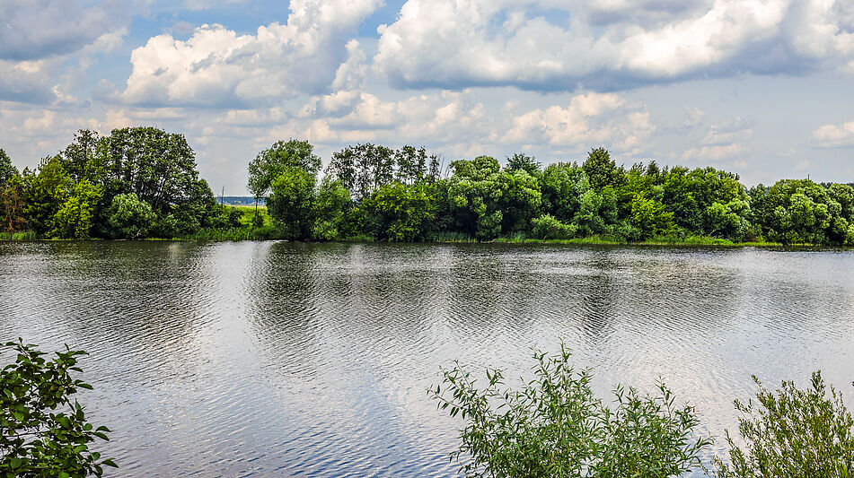 Резиденция в НПИЗ Речное