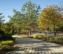 Готовый дом в КП Павлово-2