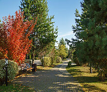 Готовый дом в КП Павлово-2