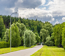 Зеленково-2