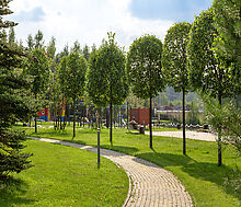 Покровский