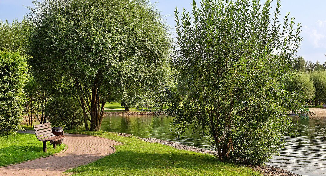 Покровский