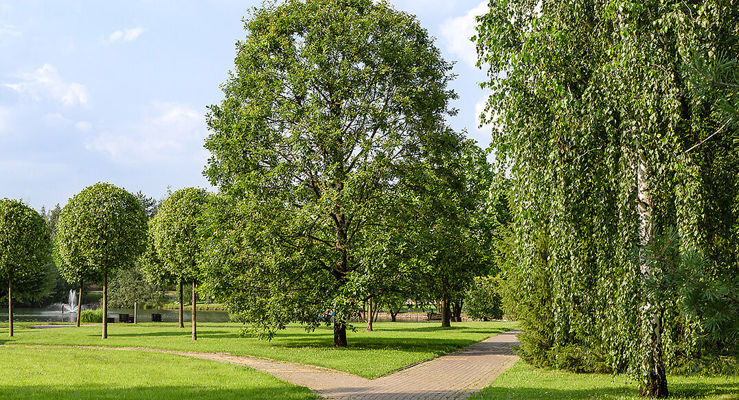 Покровский