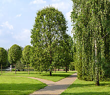 Покровский