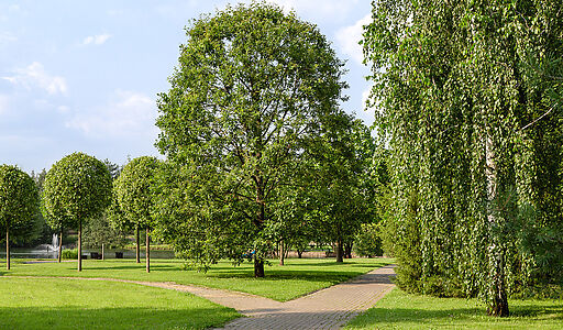 Покровский
