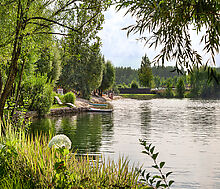 Покровский