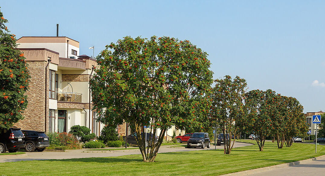 Покровский