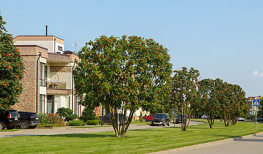 Покровский