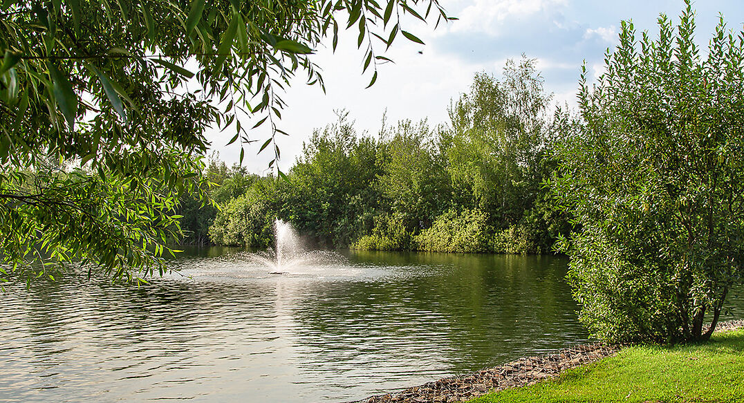 Покровский