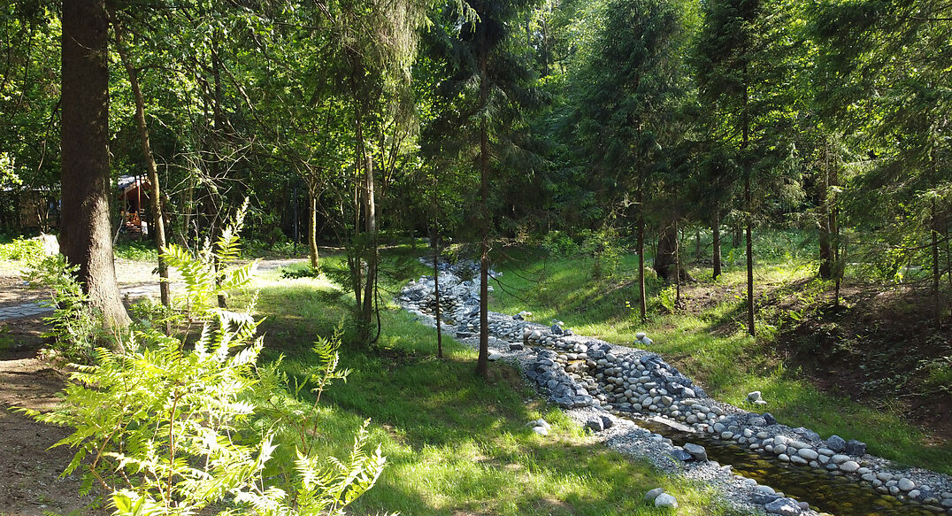 Аксаково Форест клуб