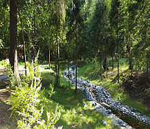 Аксаково Форест клуб