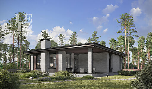 Дом райт в КП Зиккурат