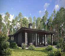 Дом райт в КП Зиккурат