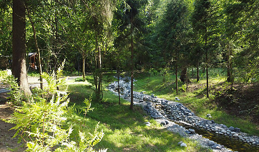 Дом в лесу в Аксаково Форест клуб