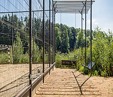 Истранавтика