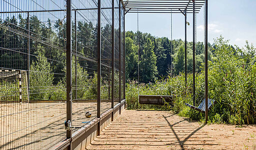 Истранавтика