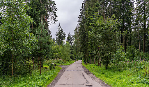 Участок у леса в закрытом поселке