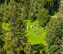 Участок у леса в закрытом поселке