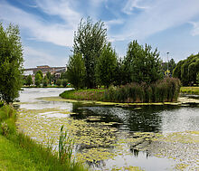 Дом в КП Бенилюкс