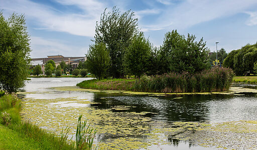 Дом в КП Бенилюкс