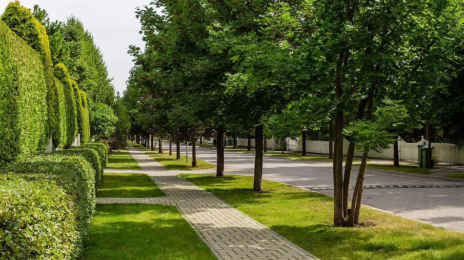 Дом в КП Бенилюкс