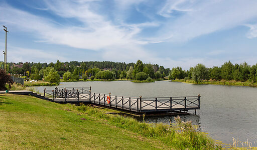 Дом в КП Бенилюкс