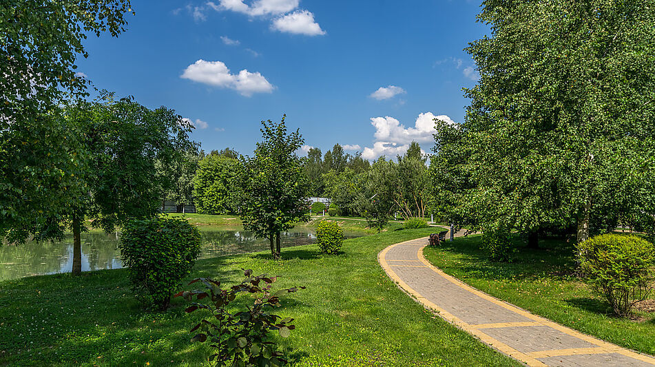 Участок в Новорижском