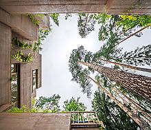 Современная резиденция в КП Сосны