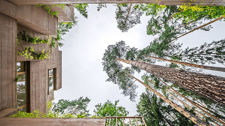 Современная резиденция в КП Сосны